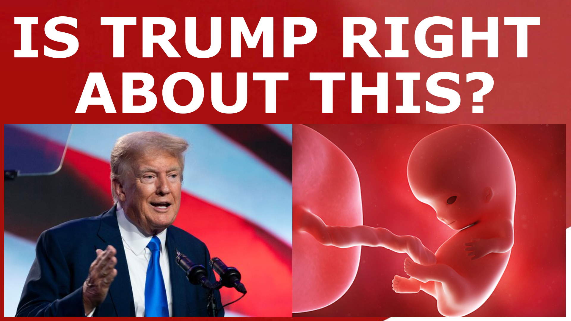 Read more about the article Is Trump Right About How Republicans Should Navigate the Abortion Issue?